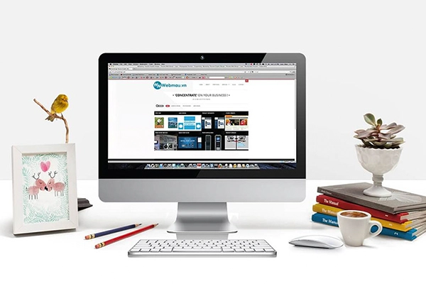 Thiết Kế Web Chuẩn Seo Uy Tín tại Quảng Ngãi