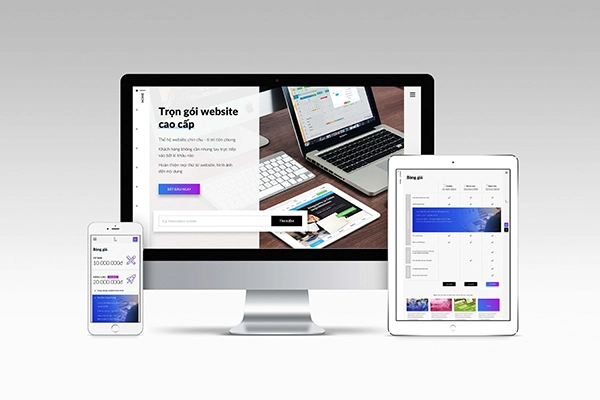 Thiết Kế Web Điện Thoại tại Quảng Ngãi