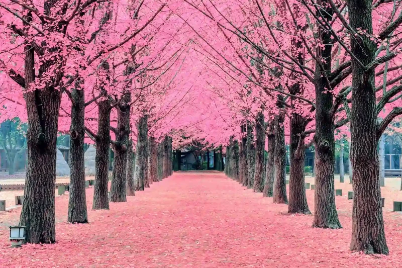 Ngày 2
